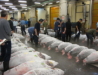 Tsukiji Market, Tuna auction